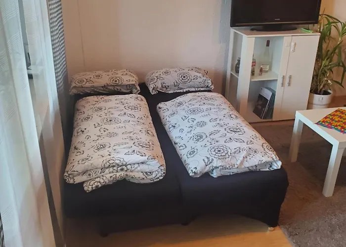 Einzimmerwohnungmit großem Balkon